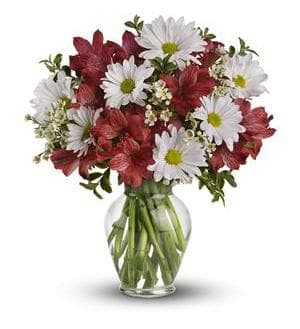 Danser avec les marguerites