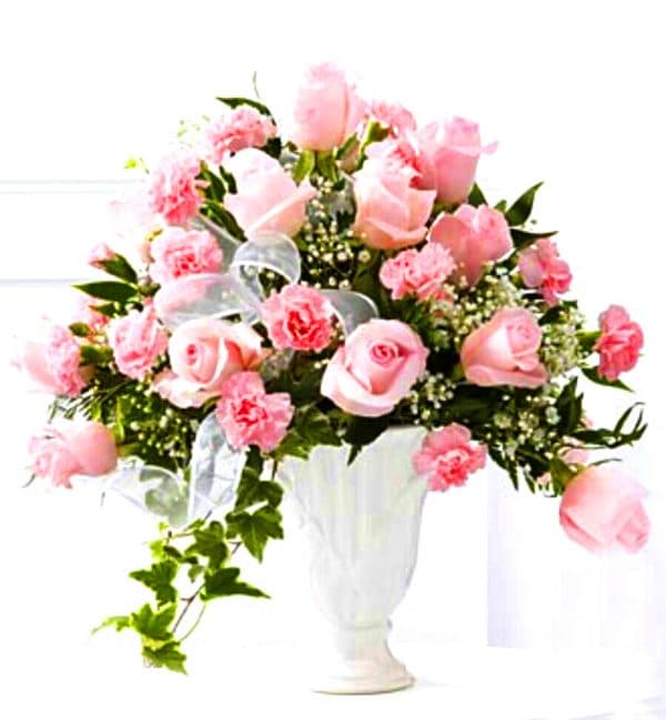 L’Arrangement Sympathies Profondes