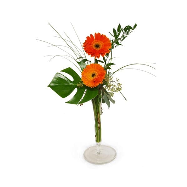 Le bouquet de gaieté