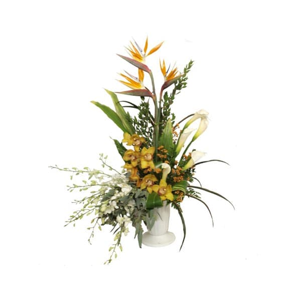 Arrangement Douceur tropical