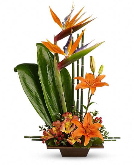 Grâce exotique de Teleflora
