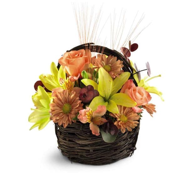 Le Panier Splendeur Sensationnelle