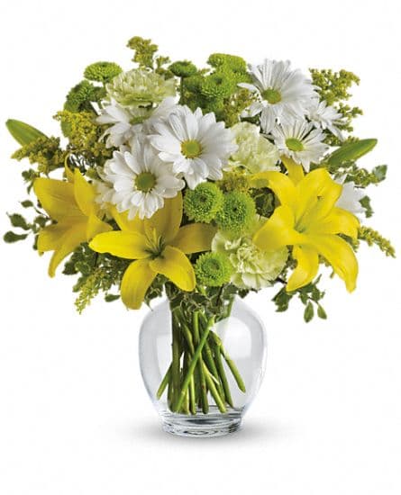 Floraison lumineuse de Teleflora