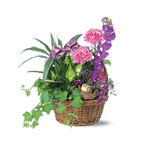 Panier du jardin avec oiseau