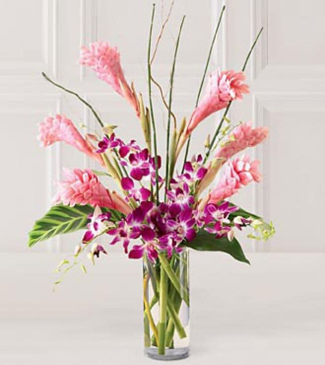 L'arrangement Tropical