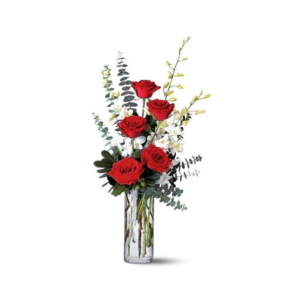 Rose rouge et Dendrobrium