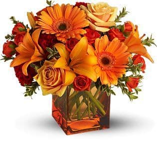 Bouquet Lever et Coucher de Soleil