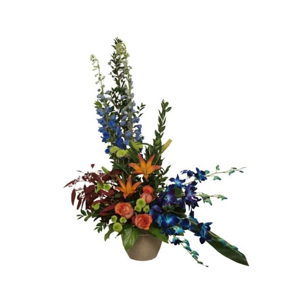 Le Jardin d'éveil