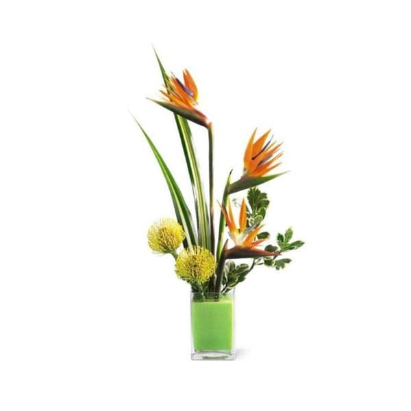L'arrangement tropical dans un vase