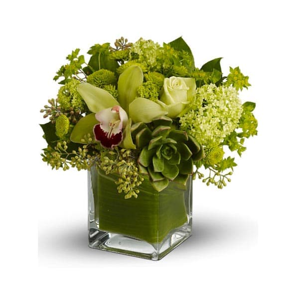 Le bouquet Forêt tropicale