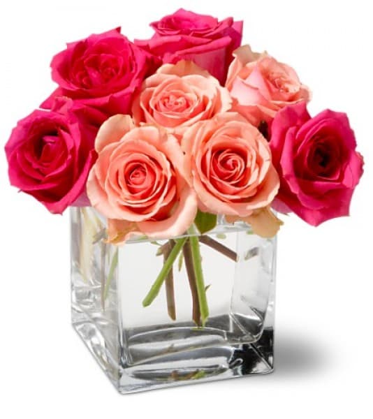 Fête en Rose