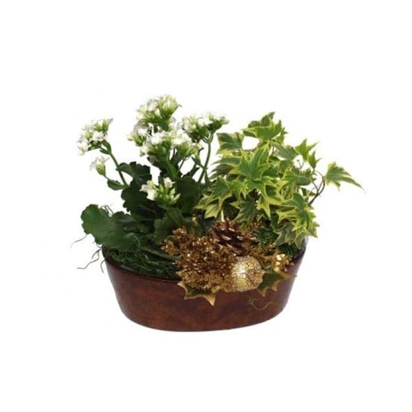 La jardinière classique
