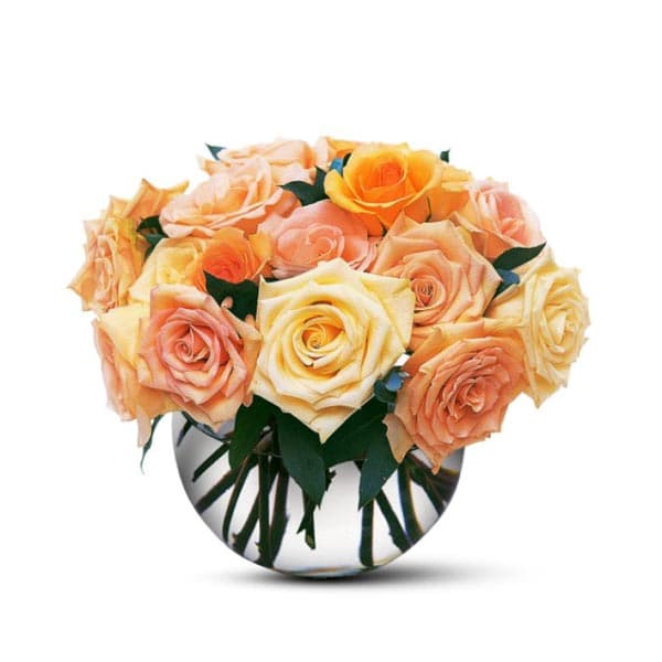 Les roses pastel dans un vase