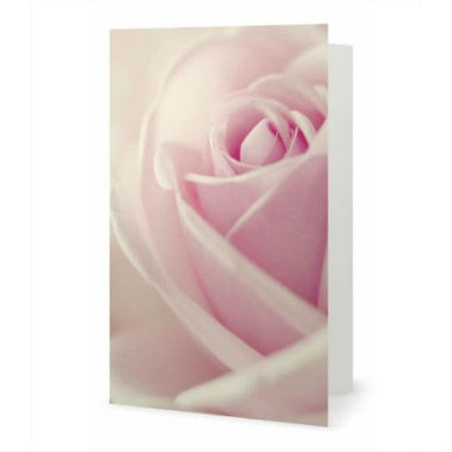 La Rose carte de souhaits