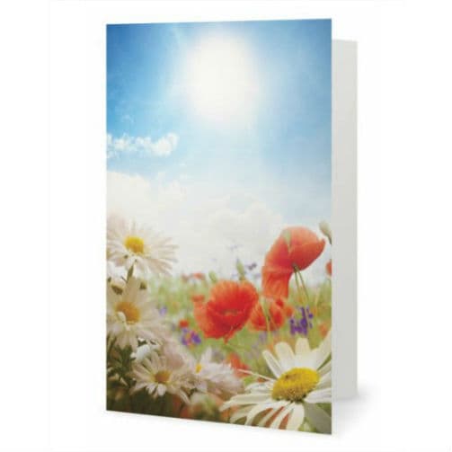 Les fleurs des champs carte de souhaits