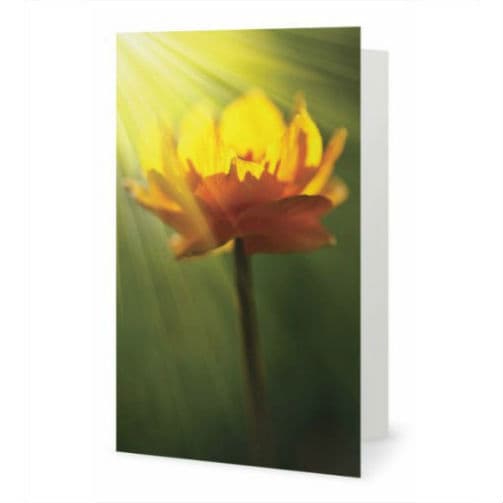 Le rayon en fleurs carte de souhaits