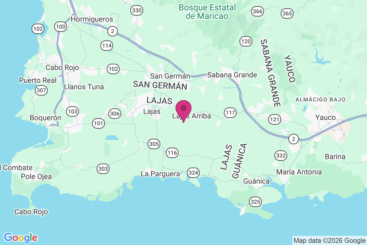 Carte de Parada de Senal Irizarry