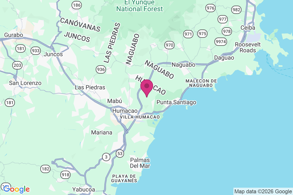 Carte de Pasto Viejo