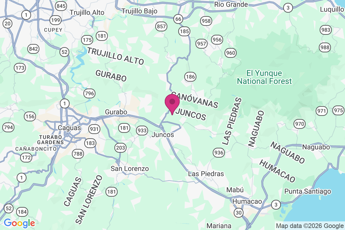 Carte de Las Pinas