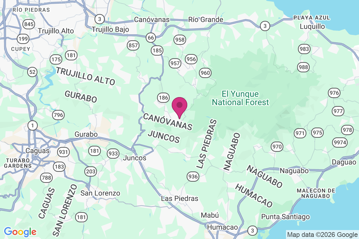 Carte de Benitez