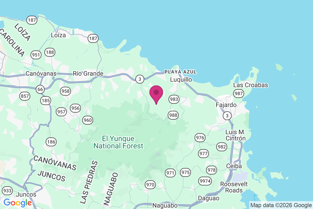 Carte de Campamento de Ninos