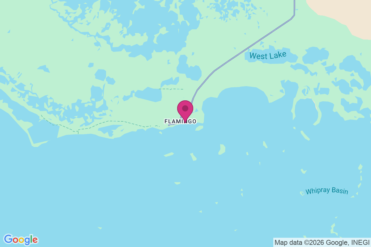 Carte de Flamingo