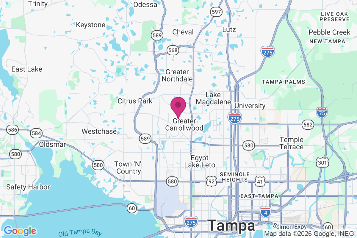 Carte de Carrollwood Village