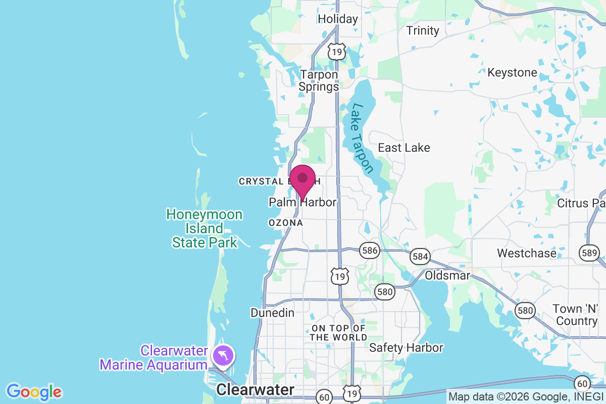 Carte de Palm Harbor