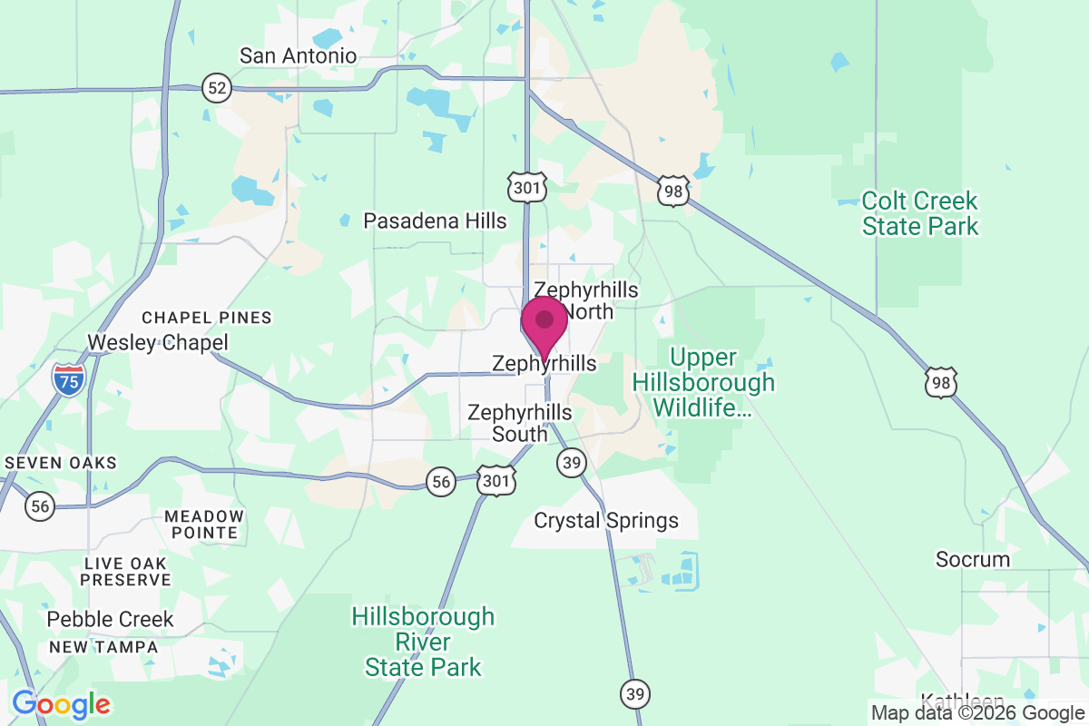 Carte de Zephyrhills