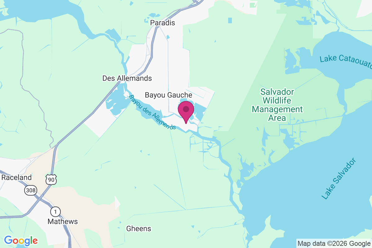 Carte de Bayou Gauche