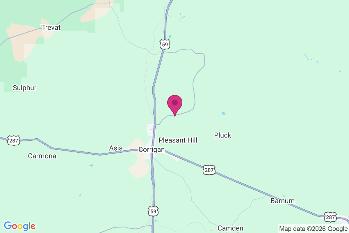 Carte de Skinner Town