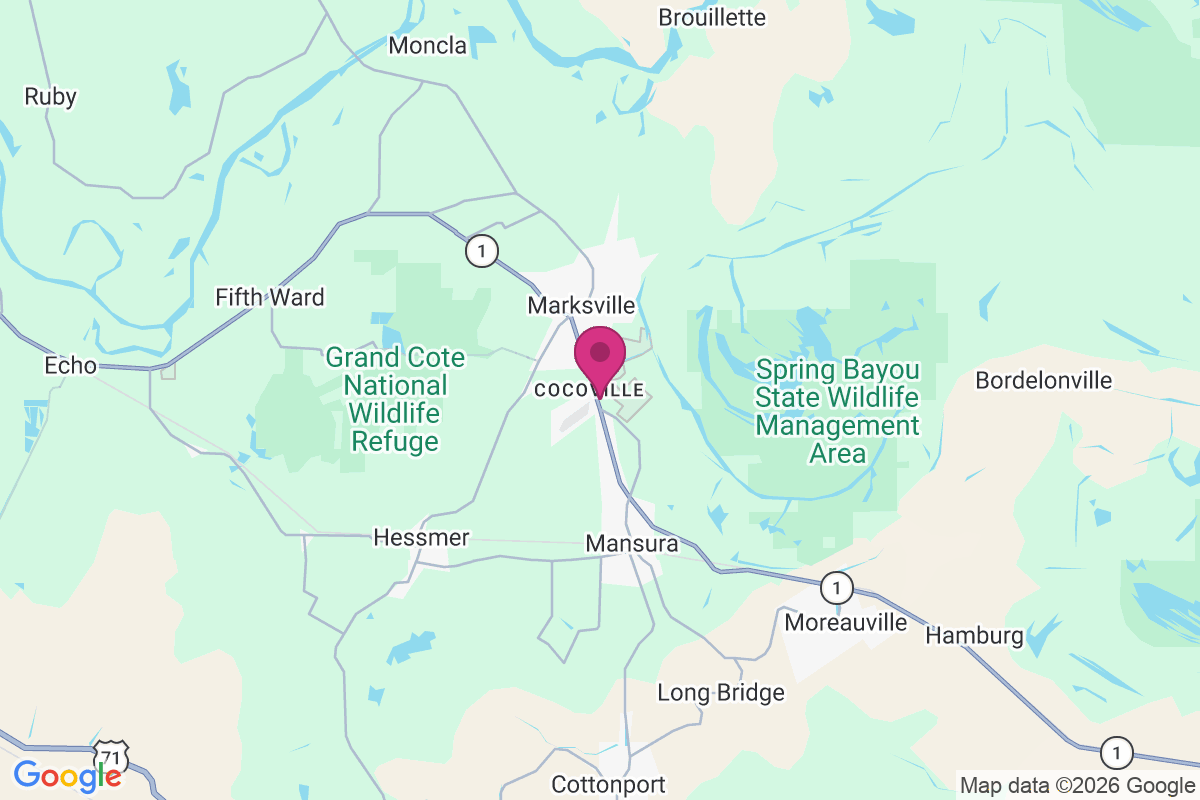 Carte de Cocoville