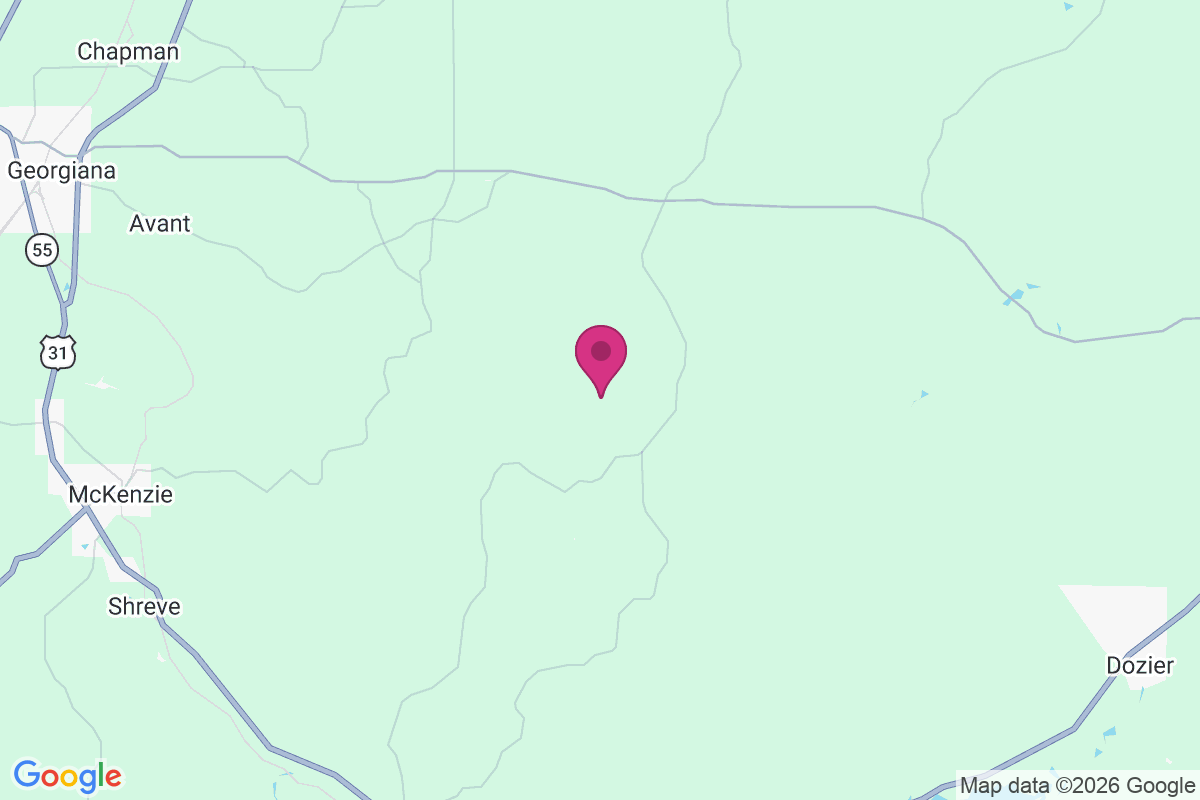 Carte de Oaky Streak