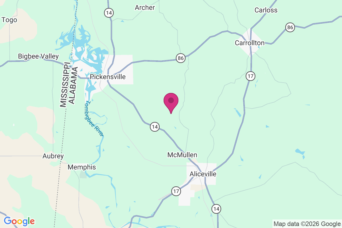 Carte de Beaver Town