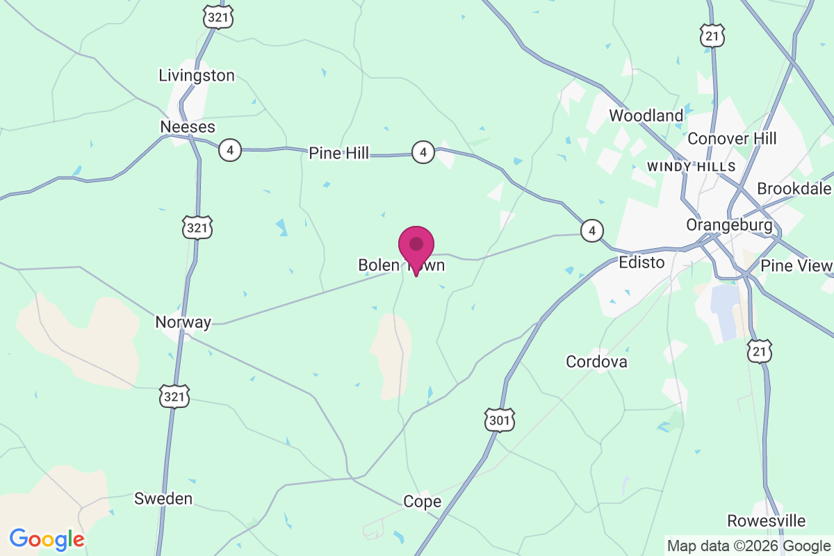 Carte de Bolen Town