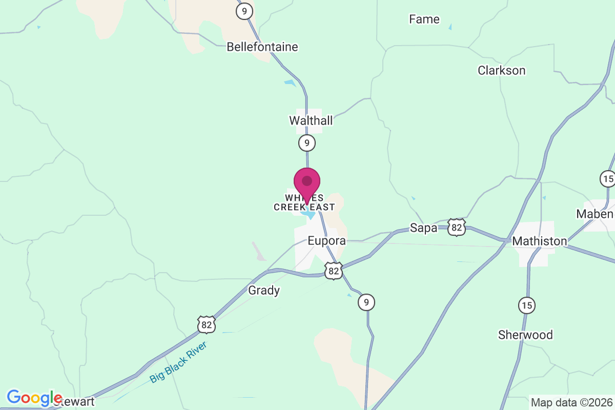 Carte de Whites Creek East