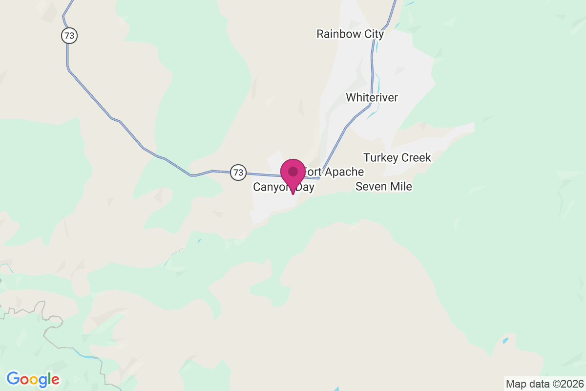 Carte de Canyon Day