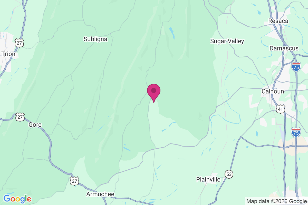 Carte de Everett Springs