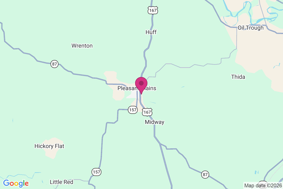 Carte de Pleasant Plains