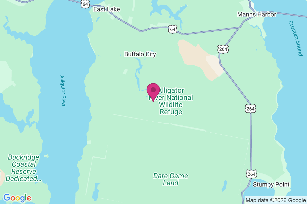 Carte de Beach Land Landing