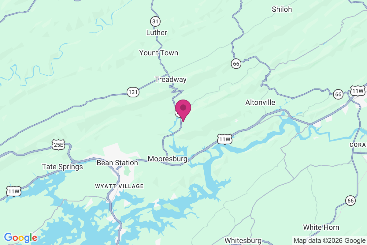 Carte de Spruce Pine