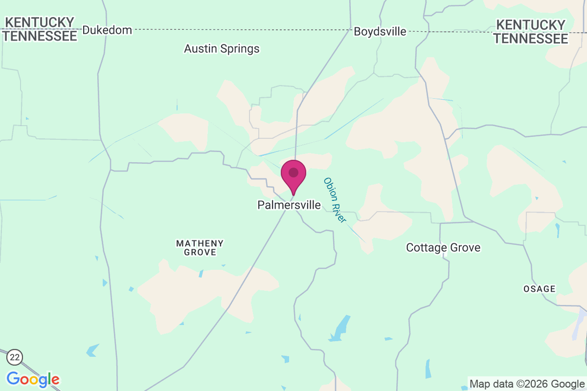Carte de Palmersville