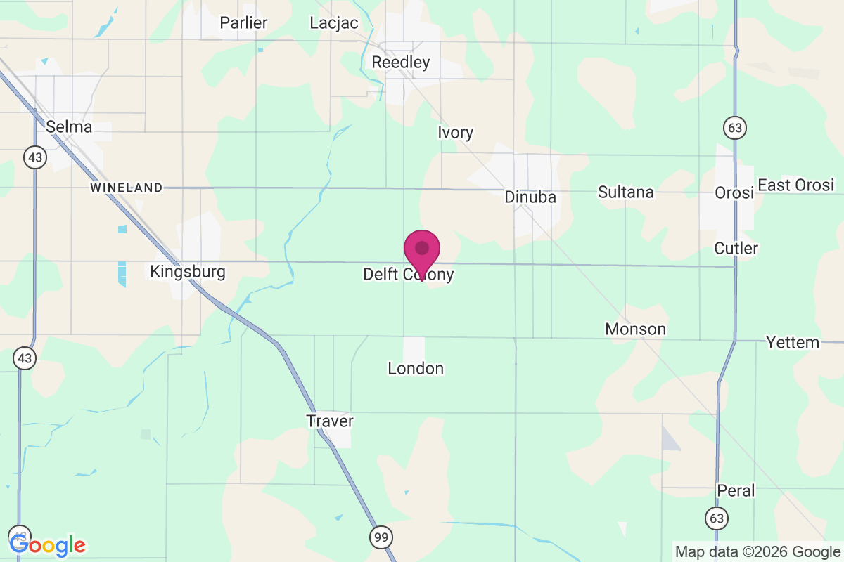 Carte de Delft Colony