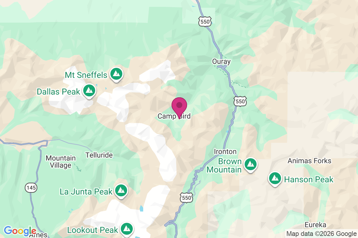 Carte de Camp Bird