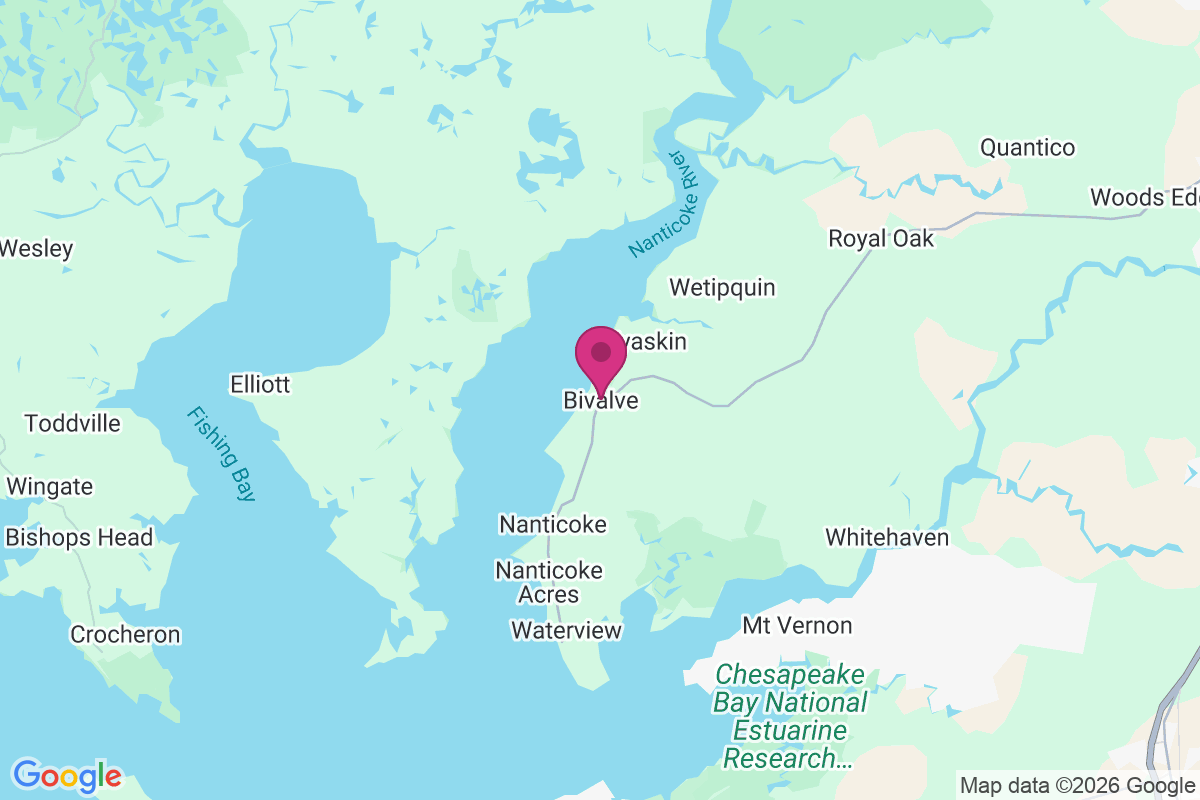 Carte de Bivalve