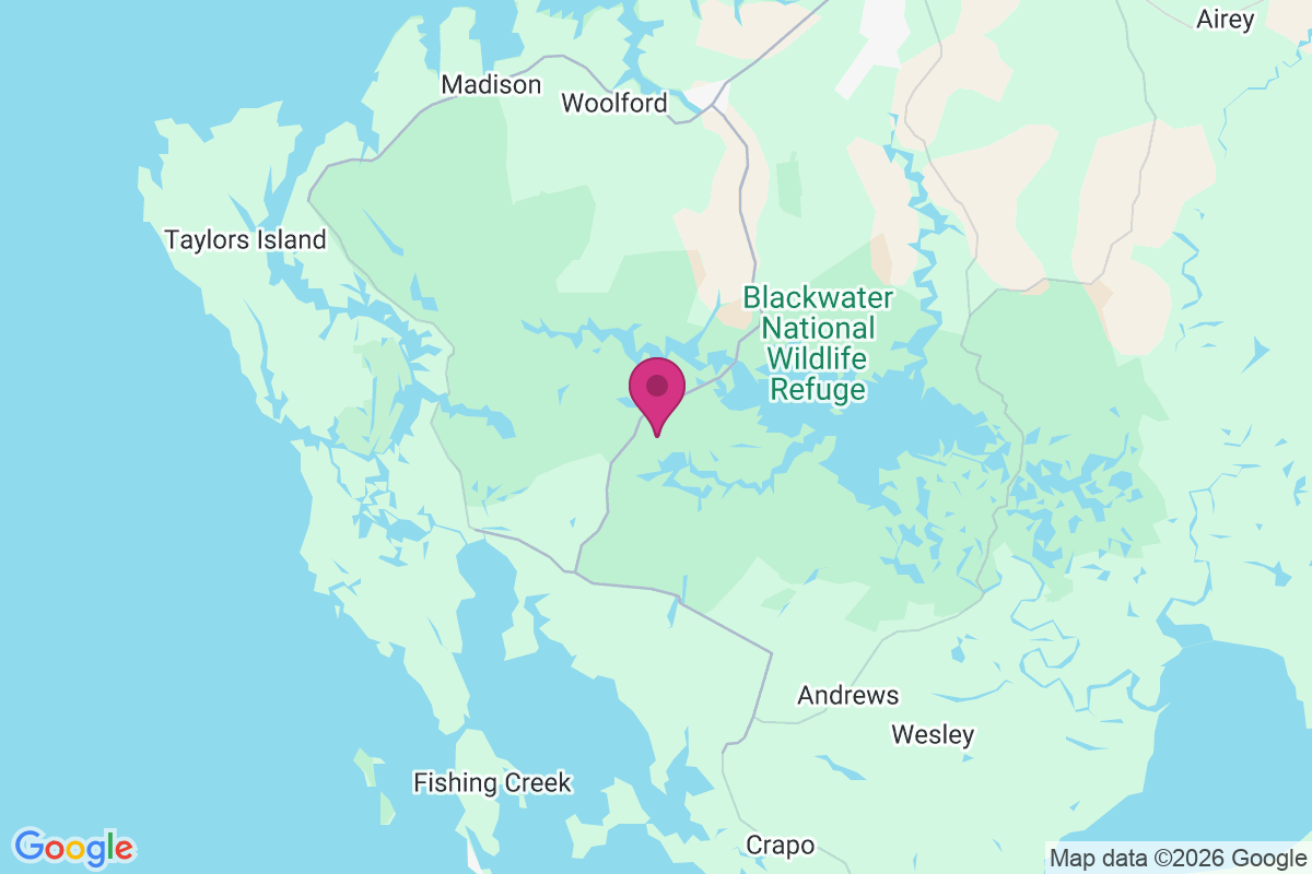 Carte de Gum Swamp