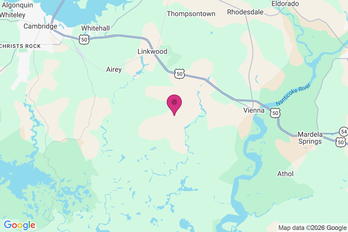 Carte de Rocky Hook