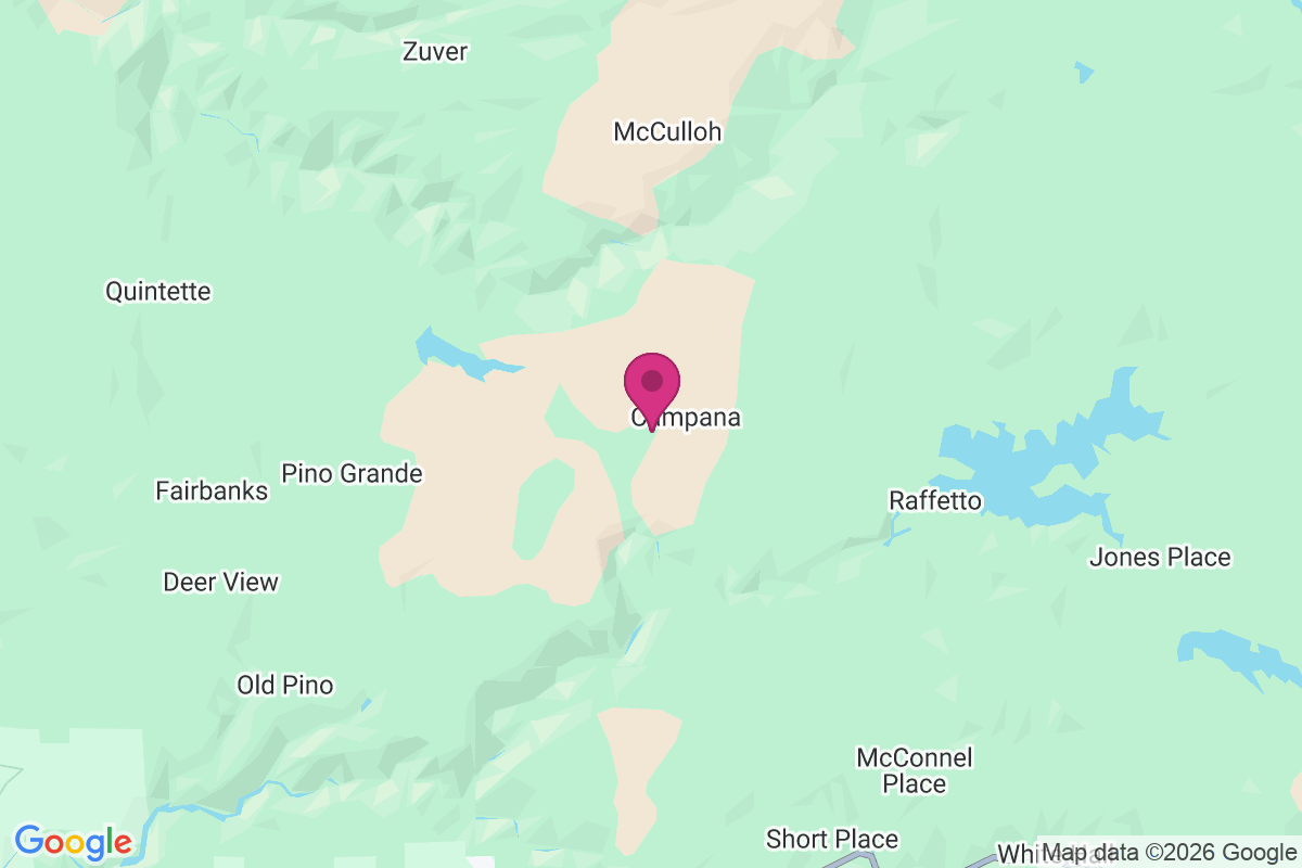 Carte de Leonardi