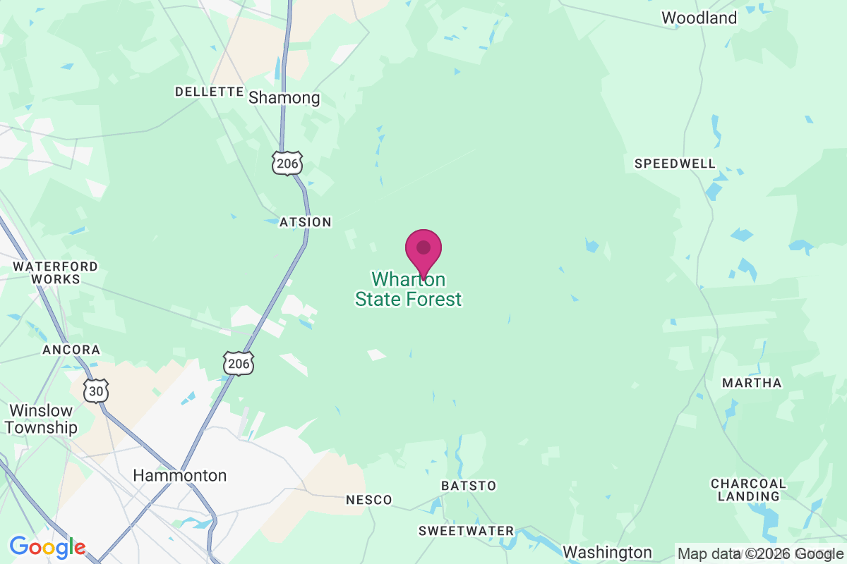 Carte de Lower Forge