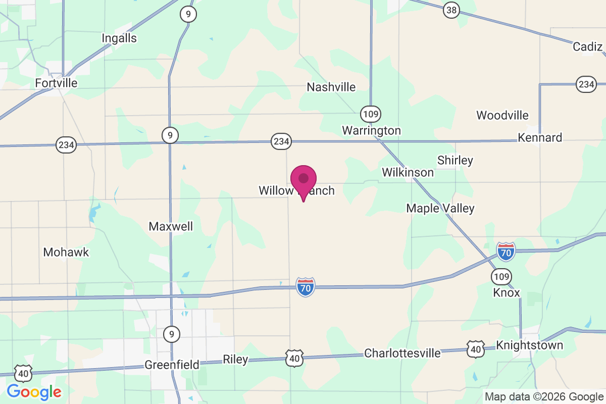 Carte de Willow Branch